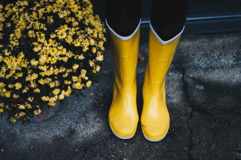 Gummistiefel neben einer Pflanze 