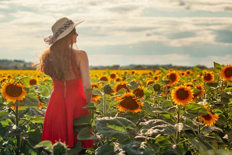 Rotes Sommerkleid