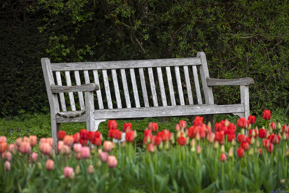 /fileadmin/Daten/Bilder/Listings/Botanischer_Garten/Botanischer_Garten_Norbert_Liesz_1200x800_3.jpg