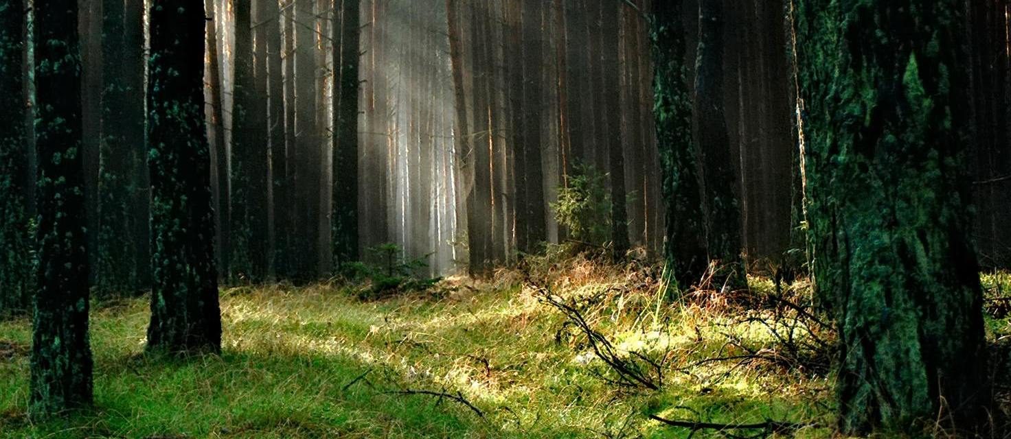 Haunstetten-Siebenbrunn