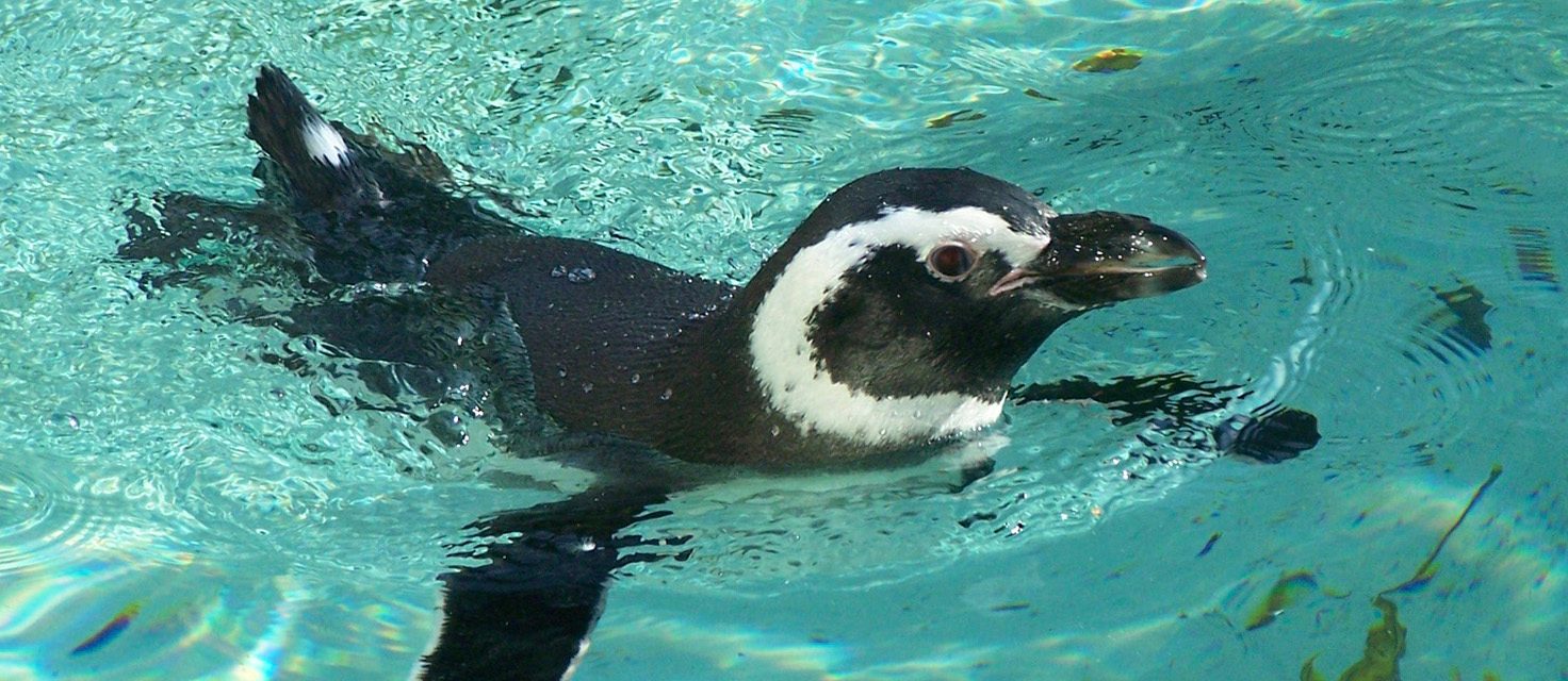 Zoo Augsburg